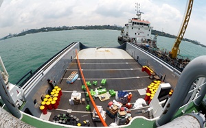 ship decking